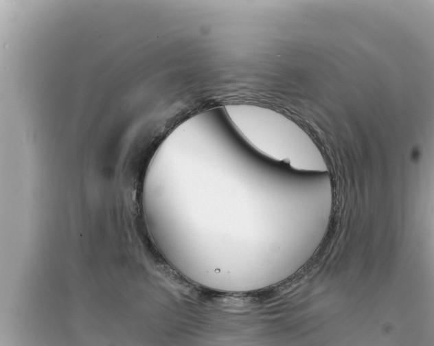 X0000095120615200712070944