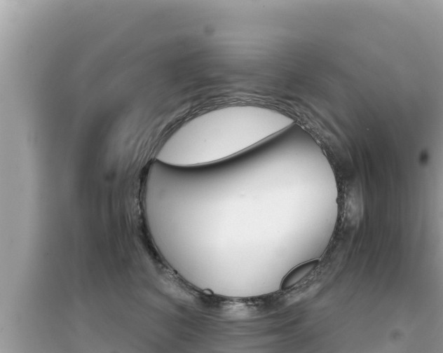 X0000095120616200712070944