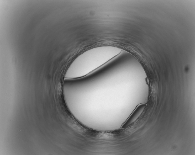 X0000095120617200712070944