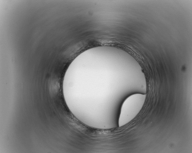 X0000095120618200712070944