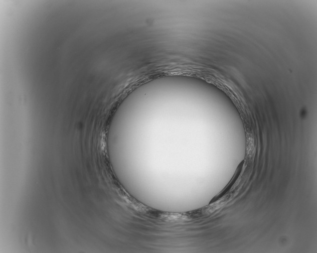 X0000095120621200712070944