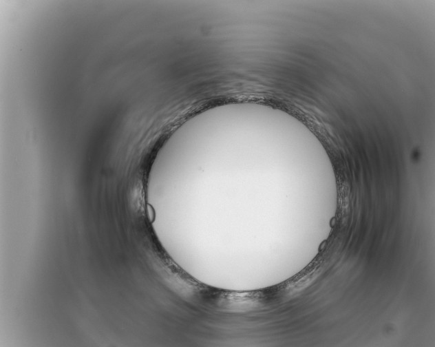 X0000095120622200712070944
