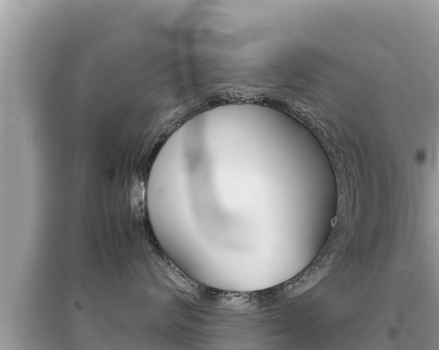 X0000095120624200712070944