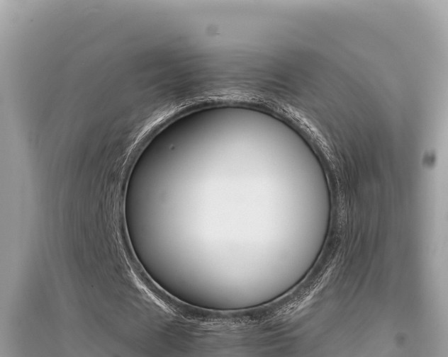 X0000095120625200712070944