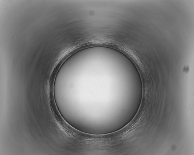 X0000095120626200712070944
