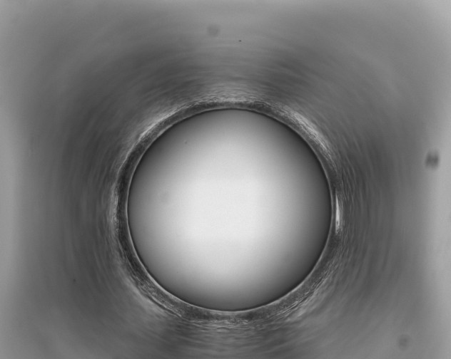X0000095120627200712070944