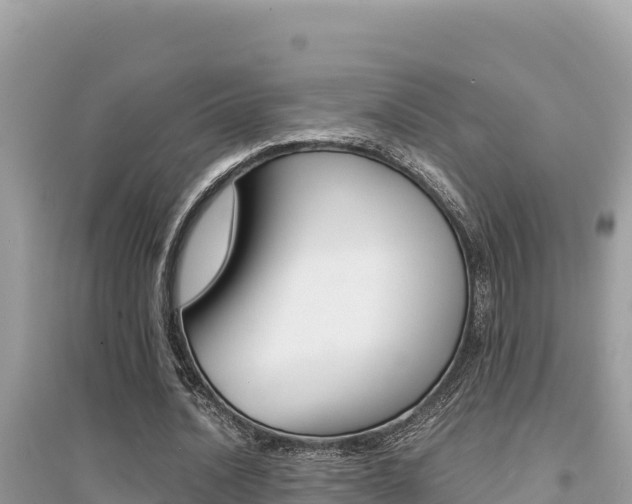 X0000095120628200712070944