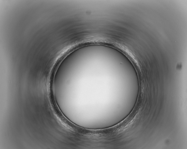 X0000095120629200712070944