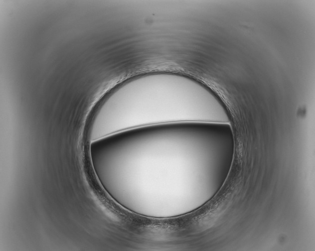 X0000095120630200712070944