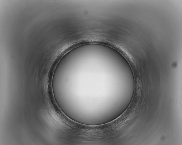 X0000095120631200712070944