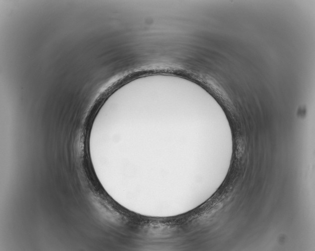 X0000095120632200712070944