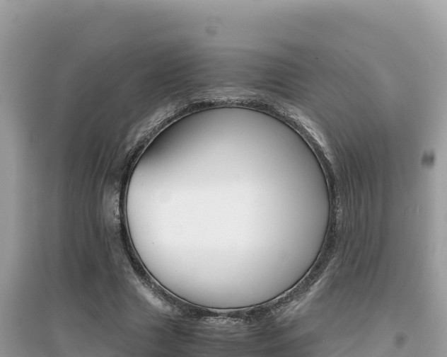 X0000095120633200712070944