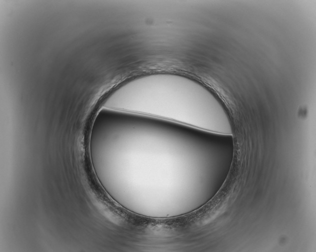 X0000095120634200712070944