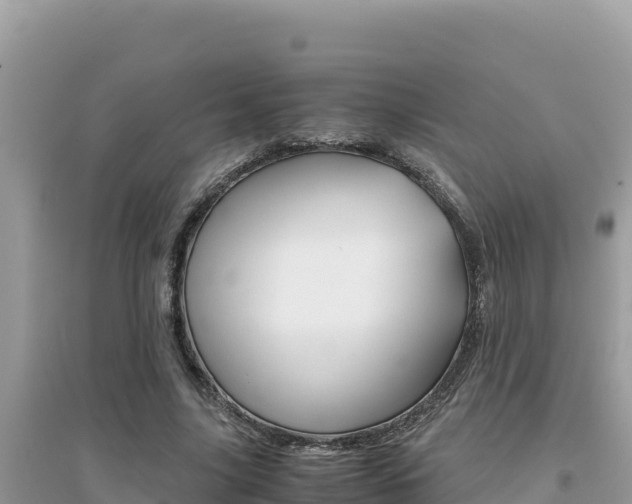 X0000095120635200712070944