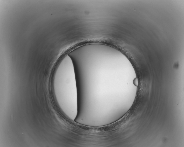 X0000095120636200712070944