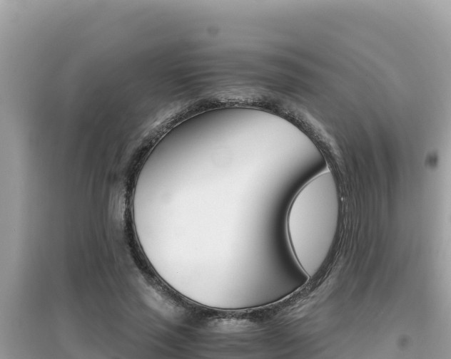 X0000095120637200712070944
