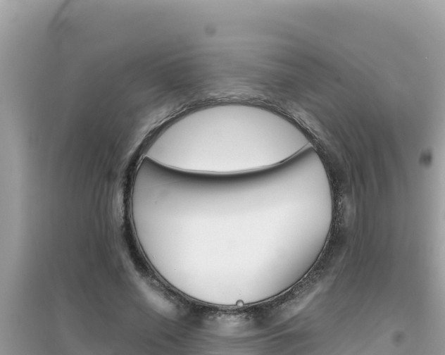 X0000095120638200712070944