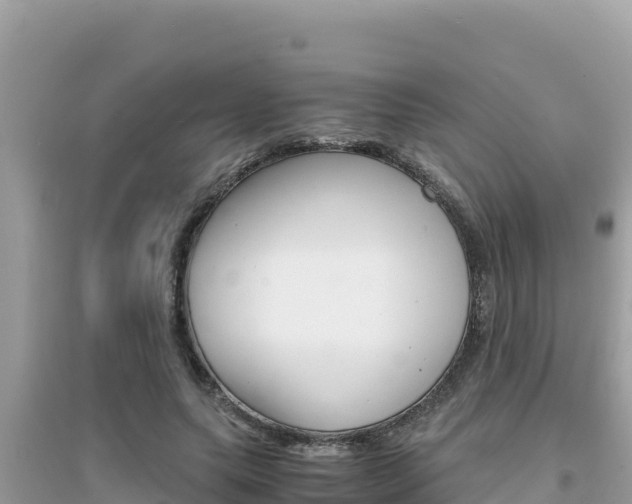 X0000095120639200712070944
