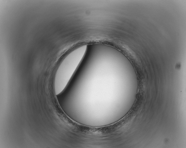 X0000095120640200712070944