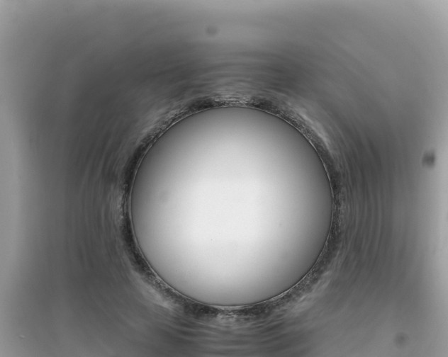 X0000095120641200712070944