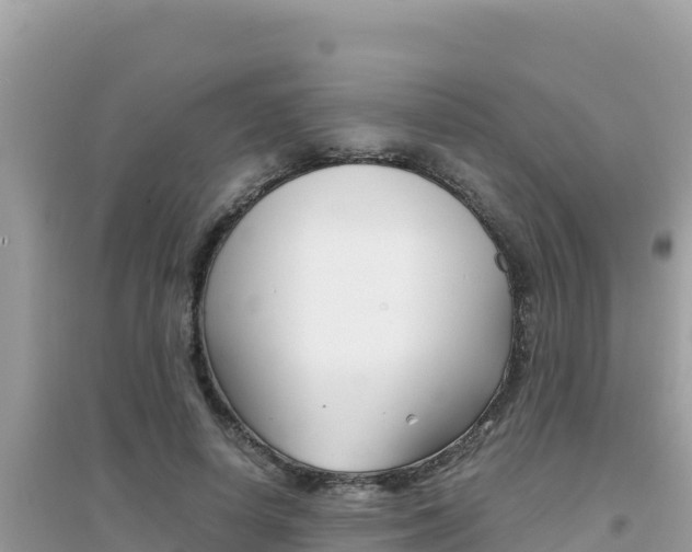 X0000095120642200712070944