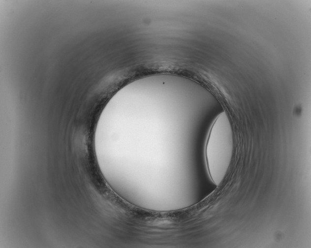 X0000095120643200712070944