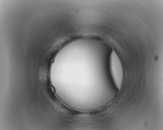 X0000095120644200712070944