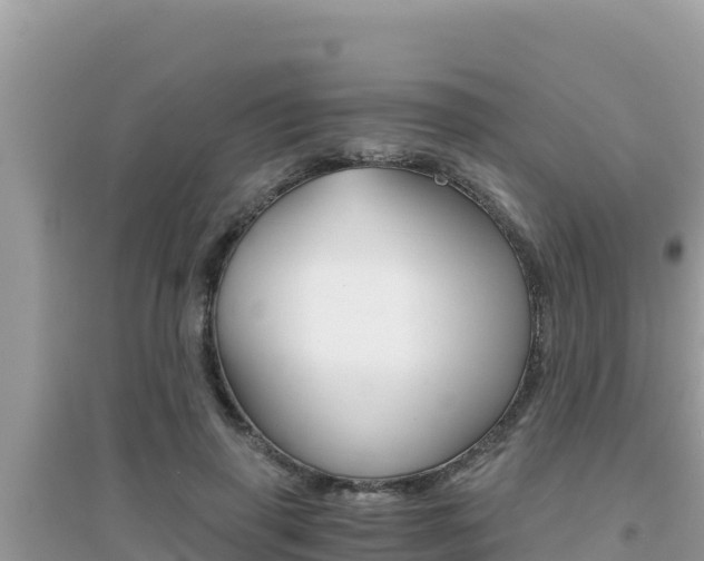 X0000095120645200712070944