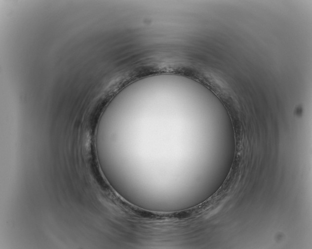 X0000095120646200712070944