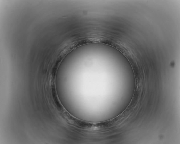X0000095120647200712070944
