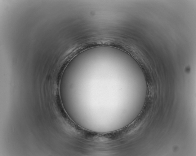 X0000095120648200712070944