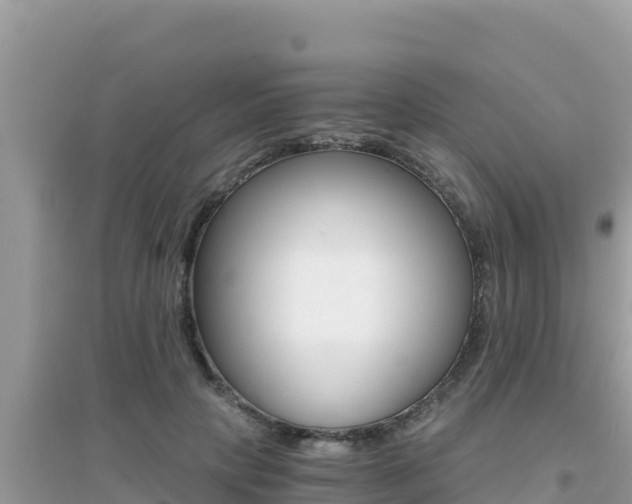 X0000095120649200712070944