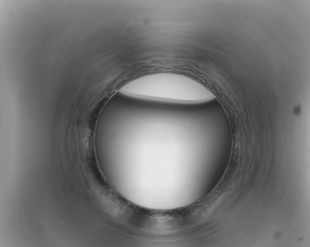 X0000095120650200712070944