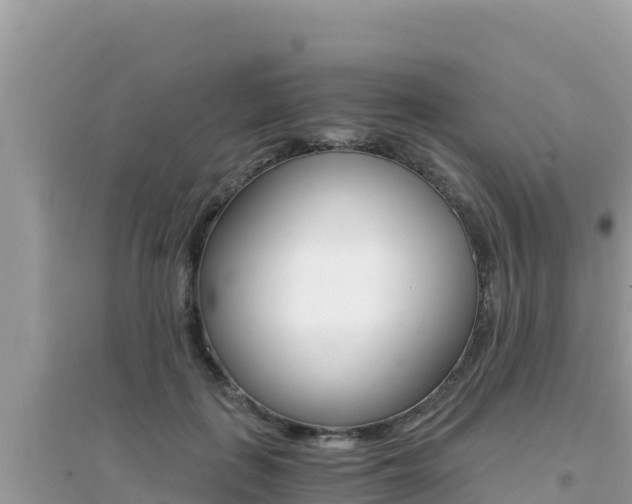 X0000095120651200712070944