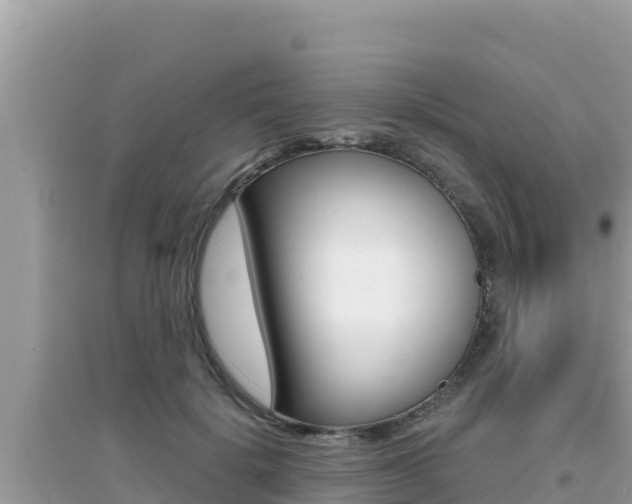 X0000095120652200712070944