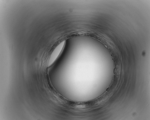 X0000095120653200712070944