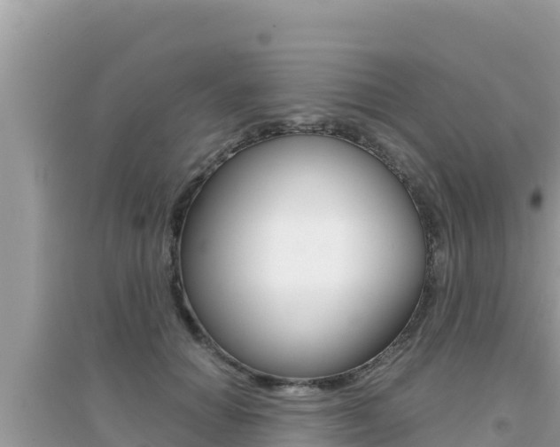 X0000095120654200712070944