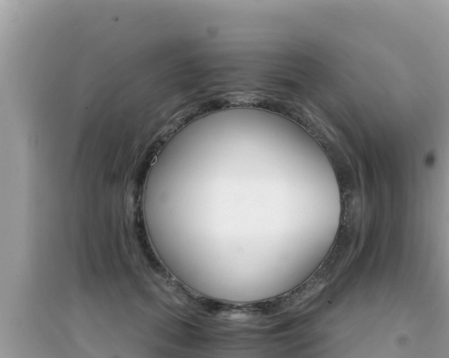 X0000095120655200712070944