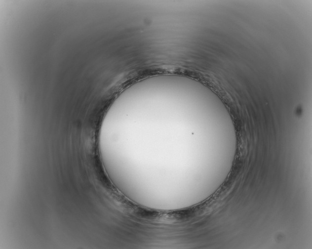 X0000095120656200712070944