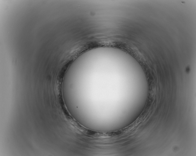 X0000095120658200712070944
