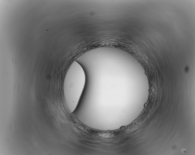 X0000095120659200712070944