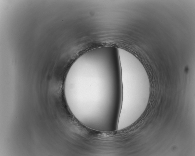 X0000095120660200712070944