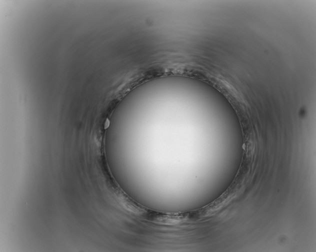 X0000095120661200712070944