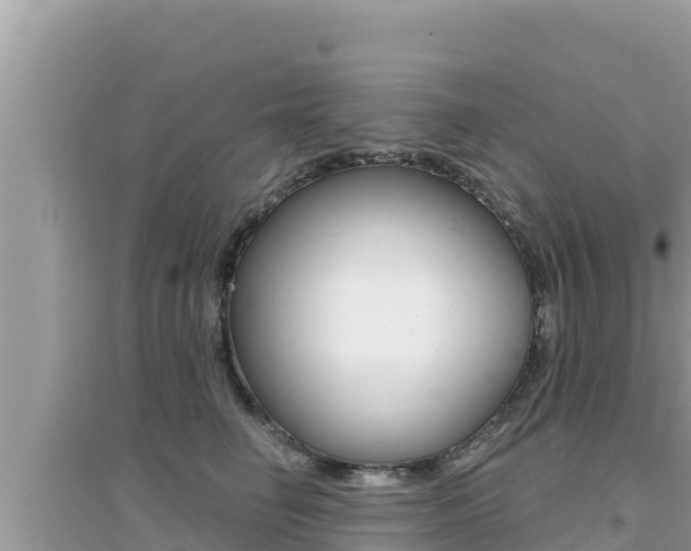 X0000095120662200712070944