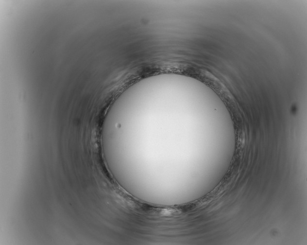 X0000095120663200712070944