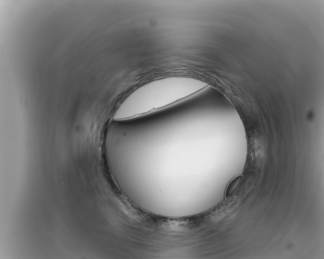 X0000095120664200712070944