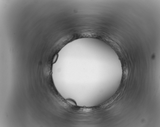 X0000095120665200712070944