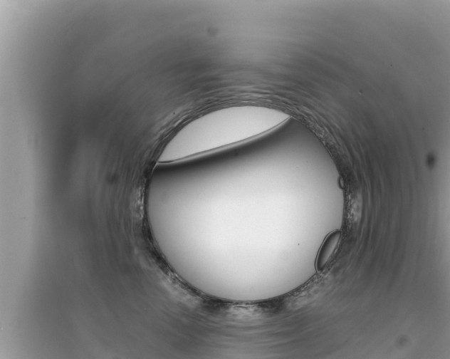 X0000095120666200712070944