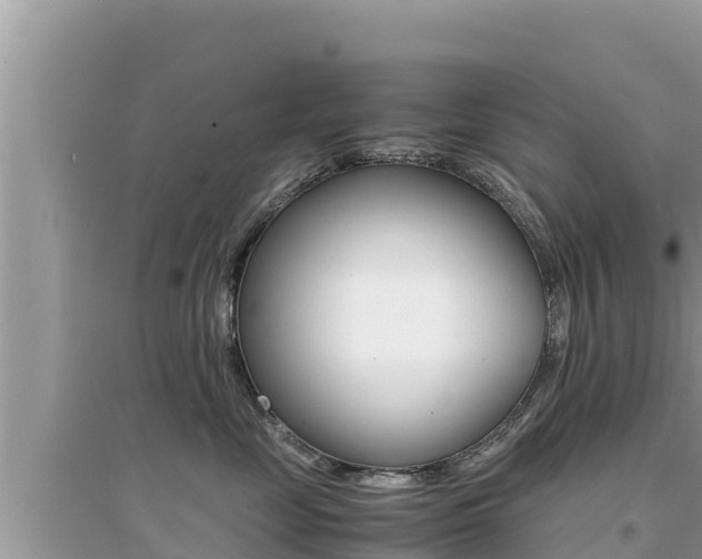 X0000095120669200712070944