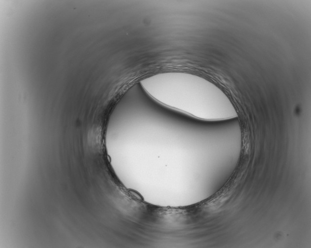 X0000095120670200712070944